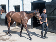 NH220326-17 - Thewoodcorner